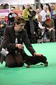 Crufts2011_2 1186